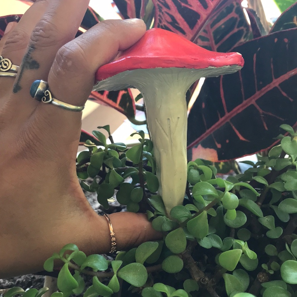 MUSHROOM 🍄 GARDEN STAKE TALISMAN ALGIZ RUNE ✨ - Picture 13 of 16